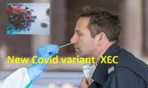 New Covid variant XEC